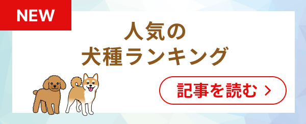 ペットも熱中症には要注意！