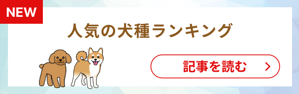 ペットも熱中症には要注意！