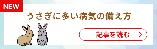 ペットも熱中症には要注意！